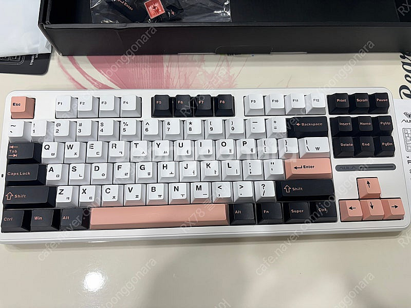 독거미 ALUA F87Pro 회목축--1