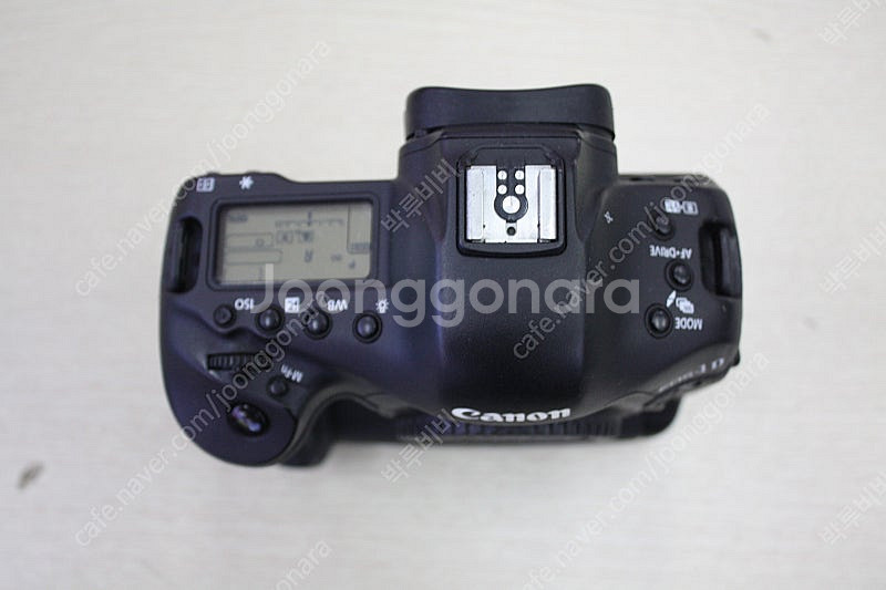 캐논1dx--2