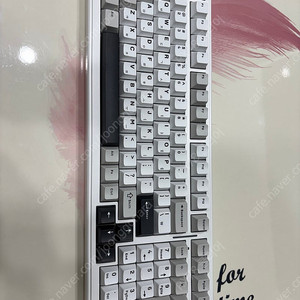 독거미 ALUA F99