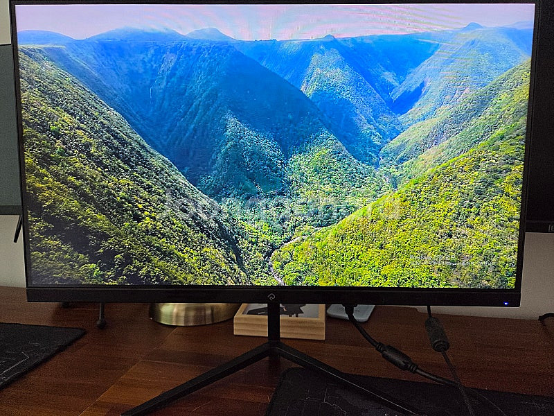 레안텍 24인치 240Hz IPS패널 게이밍 모니터--1