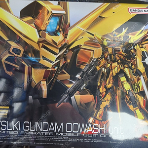 SD HG RG FM MG MGEX PM 30MS 건담 피규어라이즈 걸프라 판매합니다