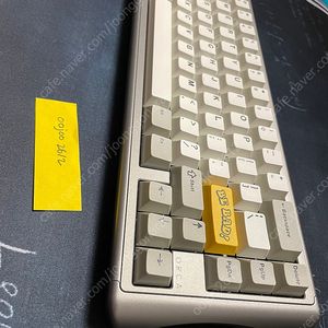 오르카 65 그그블