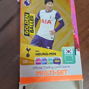 파니니 손흥민 골든볼러 카드
