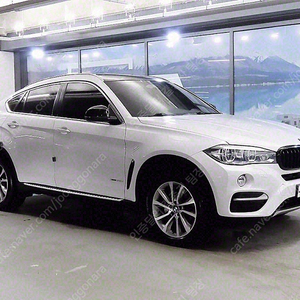 BMW X6 중고 BMW X6 중고차 할부가능 흰색 2016년식 xDrive 30d 개인사업자중고차
