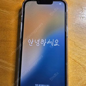 아이폰 13프로 512GB