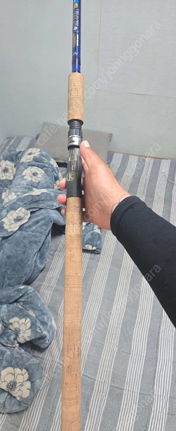 가물치로드 세인트크로익스 이미지