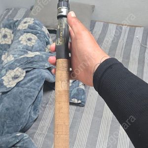 가물치로드 세인트크로익스 이미지