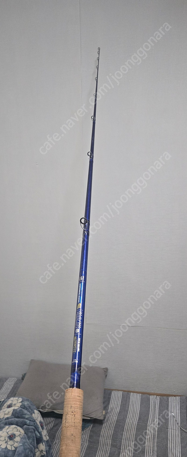 가물치로드 세인트크로익스 이미지