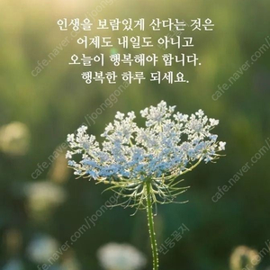 스타벅스- 딸기 딜라이트 요거트 / 메가커피 - 꿀조합 세트 / BBQ 황금올리브치킨+콜라1.25L