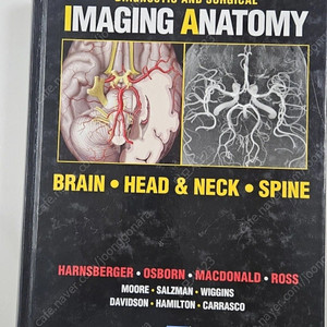 의료영상해부학 두경부 (MRI.CT)