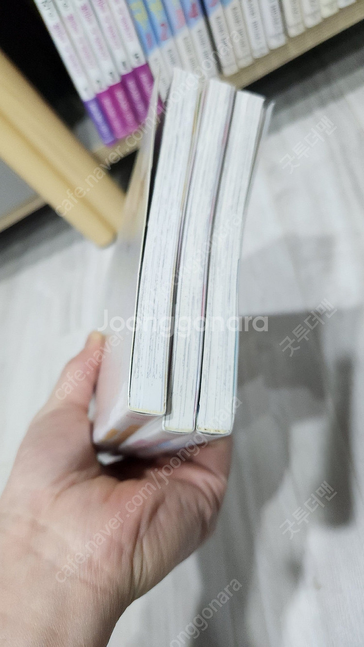 카페 키치죠우지 1-3 택포 1만5천원--6