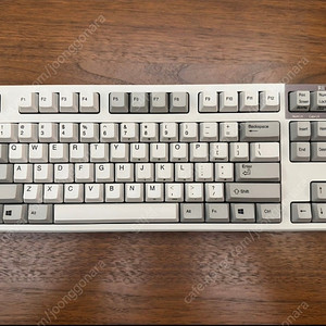 리얼포스 R2 55g TKL S 무접점 키보드 - C타입 개조