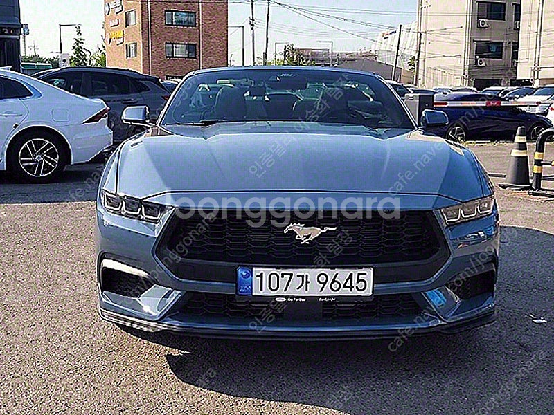 12,638 km 포드 머스탱 중고 포드 중고차 2.3...--0