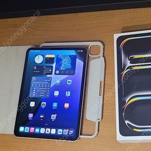 아이패드 프로 M4(256g) Wifi + 짭플펜슬+케이스