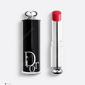 디올 어딕트 립스틱 976 비디올 be dior