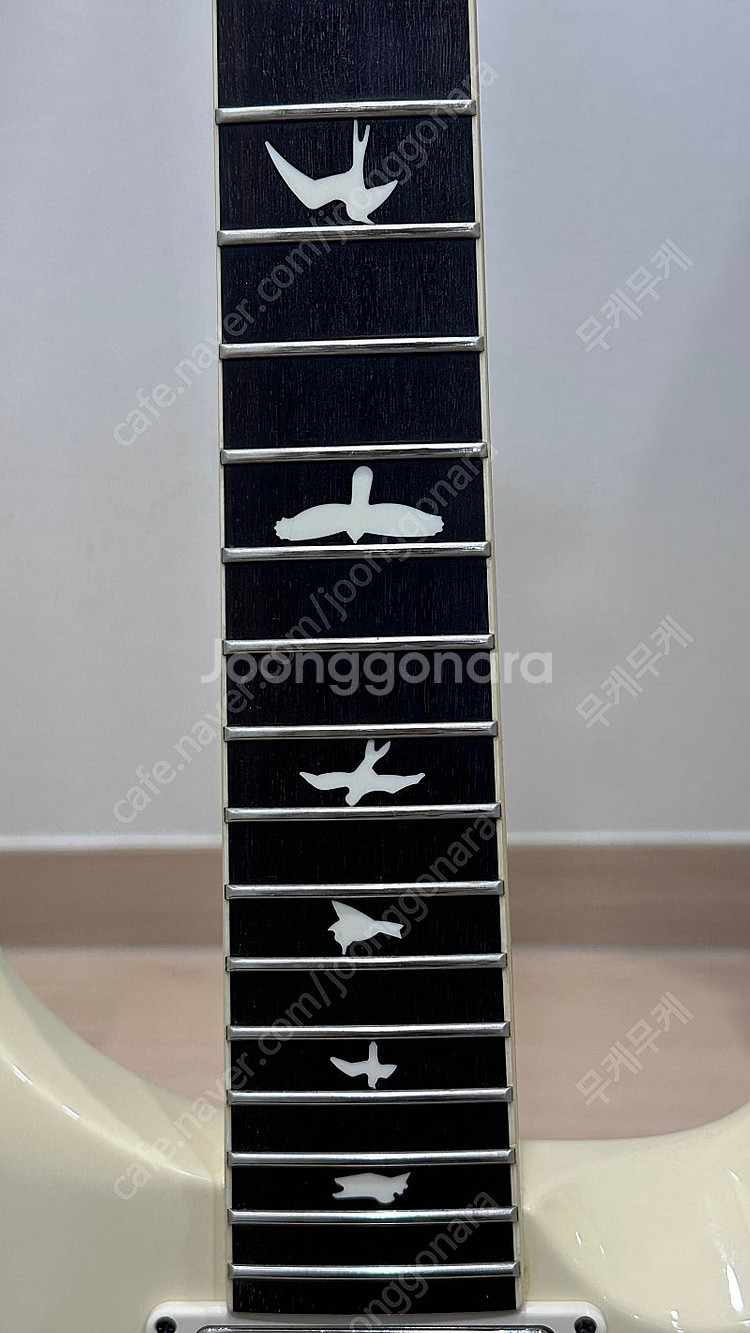 PRS S2 McCarty 594 Thinline - ...--1