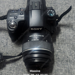 소니 a55 dslr 팝니다