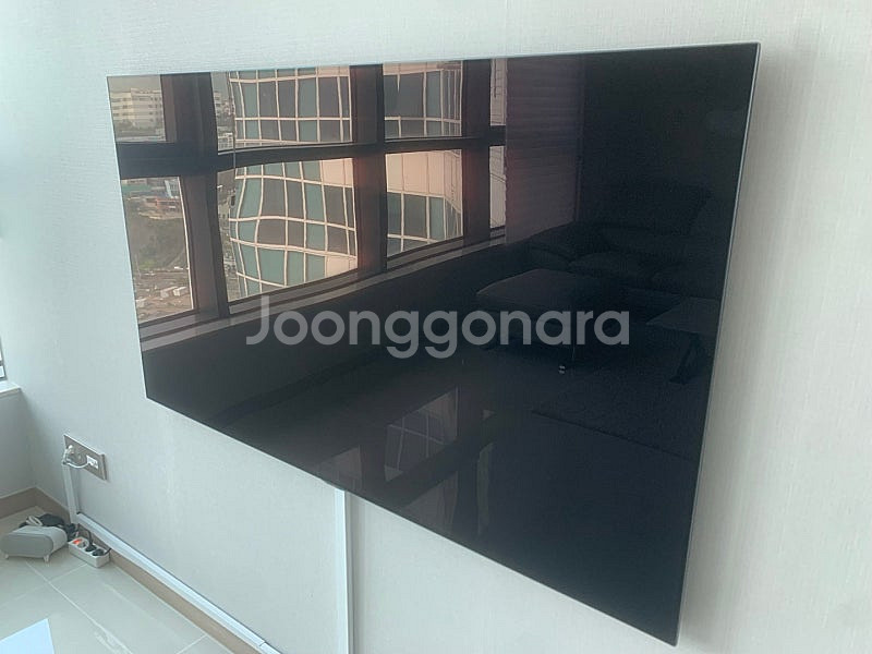 LG OLED(올레드) 65인치 갤러리 벽걸이 TV--3