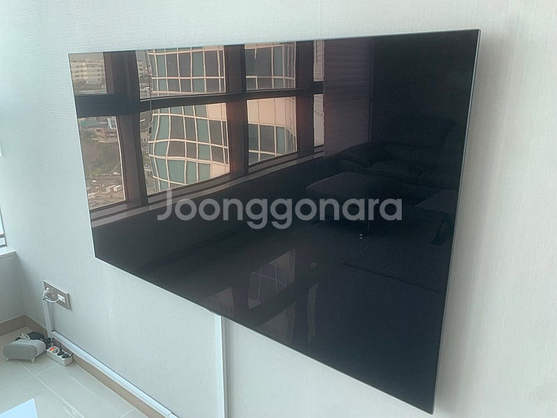 LG OLED(올레드) 65인치 갤러리 벽걸이 TV--4