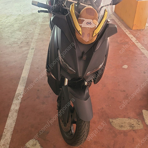 xmax300