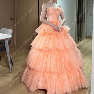 자몽색 유색 드레스