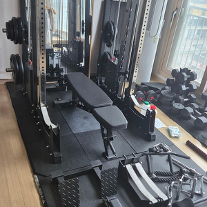 평택)스미스머신 홈짐 거상 미노스 Gs17 판매합니다.