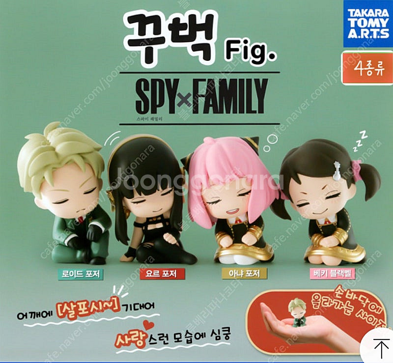 스파이패밀리 가챠 일괄(반택포)--0
