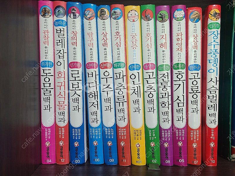 (대구) 어린이 과학백과시리즈 12종-글송이--1