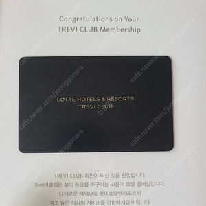 롯데 트래비 카드
