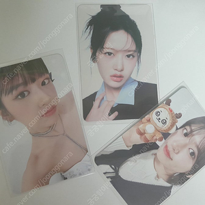 특전3장 일괄)아이브 유진 안유진 포카 정품 미공포 특전 포카 덤드림 당일배송