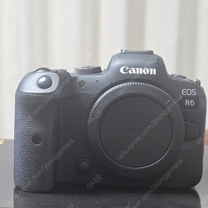 캐논 EOS R6