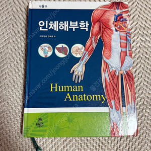 (택포) 고문사 인체해부학 제6판