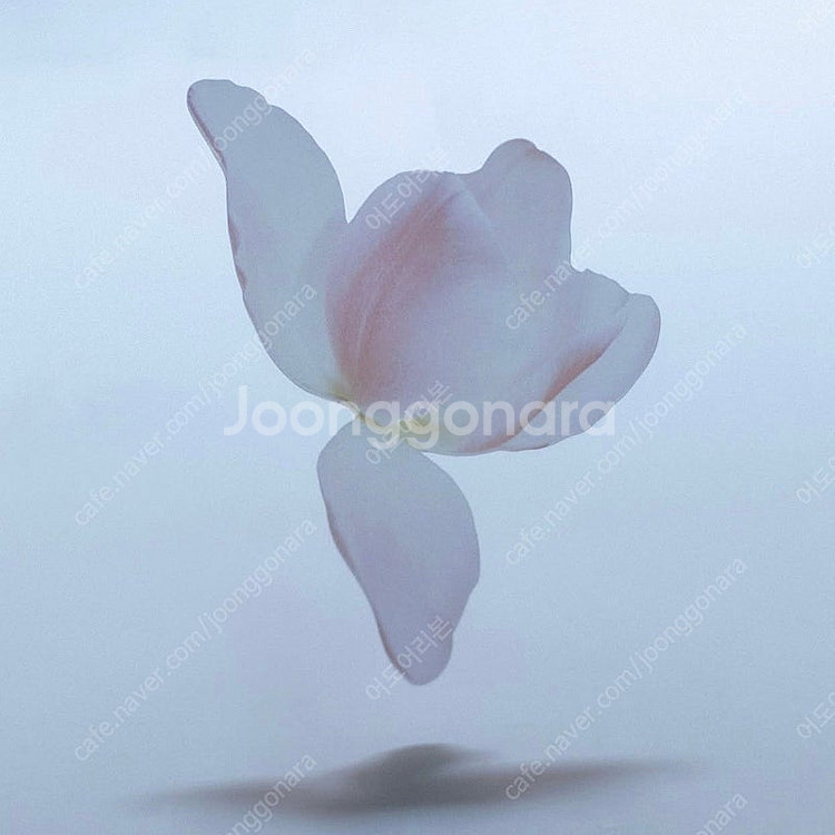 (미개봉) 한정판 이옥토 튤립 책갈피 포함 처음 본 새...--1
