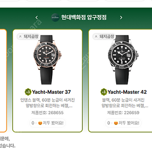 6월 16일 롤렉스매장 전체 입고정보 - 몇몇 매장에서 SS급 시계들