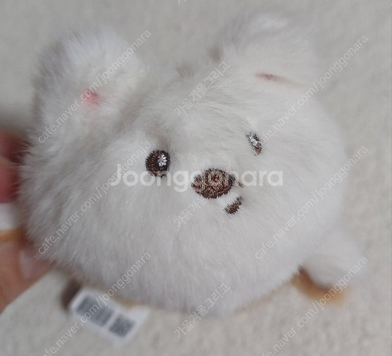 (새상품) 고양이&강아지 반전 봉제 인형 키링 10cm--1