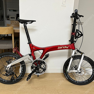 버디R 20