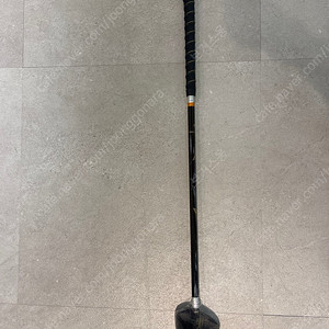 아스트로 다크호스 골드 파크골프채 판매