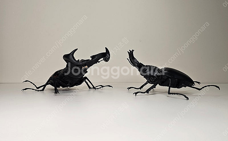 생물대도감--4