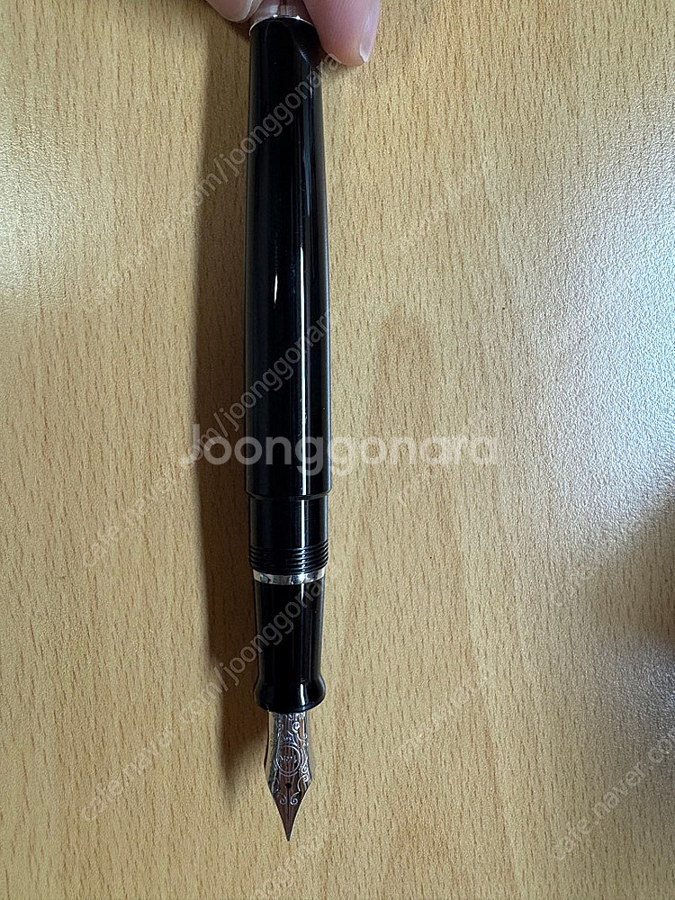 오로라 탈렌튬 EF 만년필--5