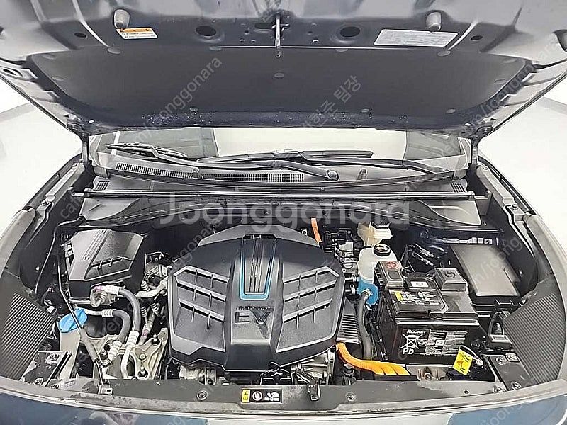기아 니로 중고 니로 중고차 파란색 2019년식 85,...--5