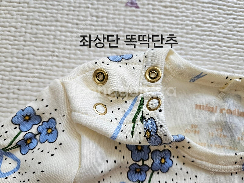 미니로디니 블루 윈터플라워 원시 8086--2