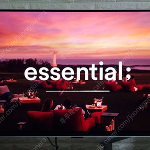 삼성 오디세이 G6 OLED 모니터 G60SD