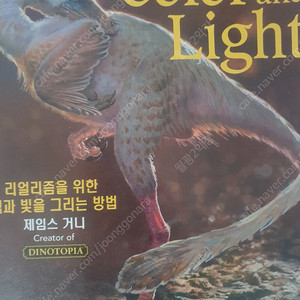 컬러앤라이트 새상품급 팝니다