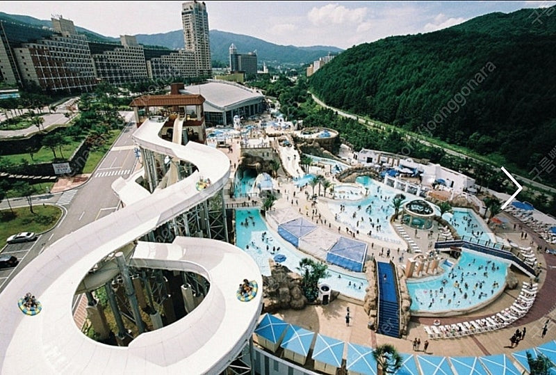 6월21일(토) 평창 휘닉스파크 로얄 40평 + 블루캐...--0