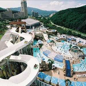 6월21일(토) 평창 휘닉스파크 로얄 40평 + 블루캐니언 워터파크 4인 무료, 반려견동반, 스위트로얄 업글도 가능 (+추가금)