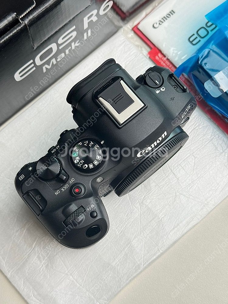 캐논 R6 mark2 알육막투 , 24-105L , 2...--3