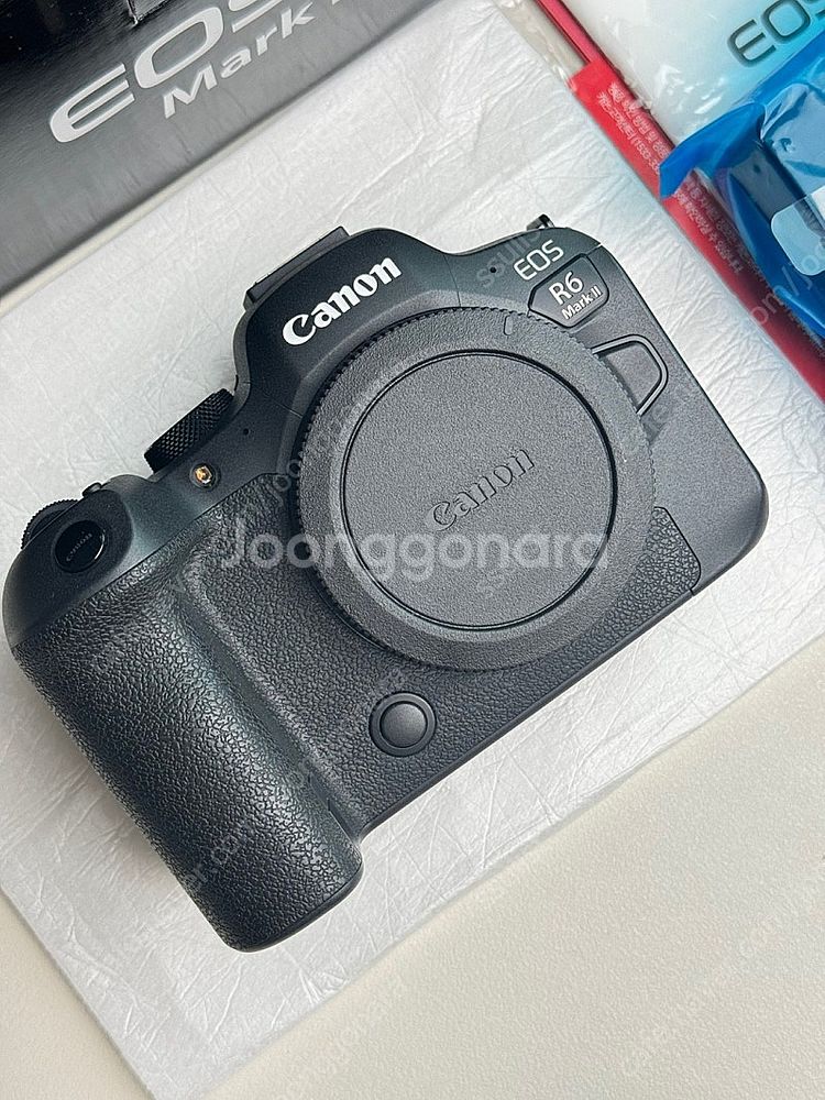 캐논 R6 mark2 알육막투 , 24-105L , 2...--4