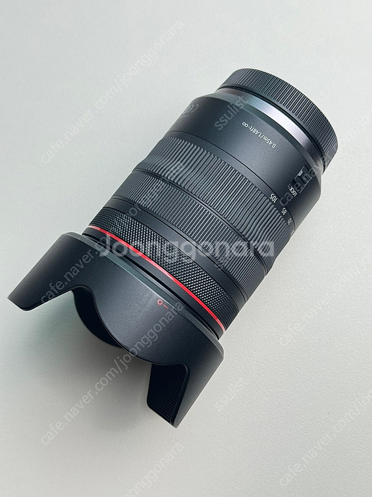 캐논 R6 mark2 알육막투 , 24-105L , 2...--9