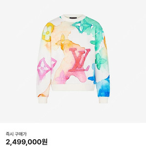 루이비통 워터컬러 모노그램 L