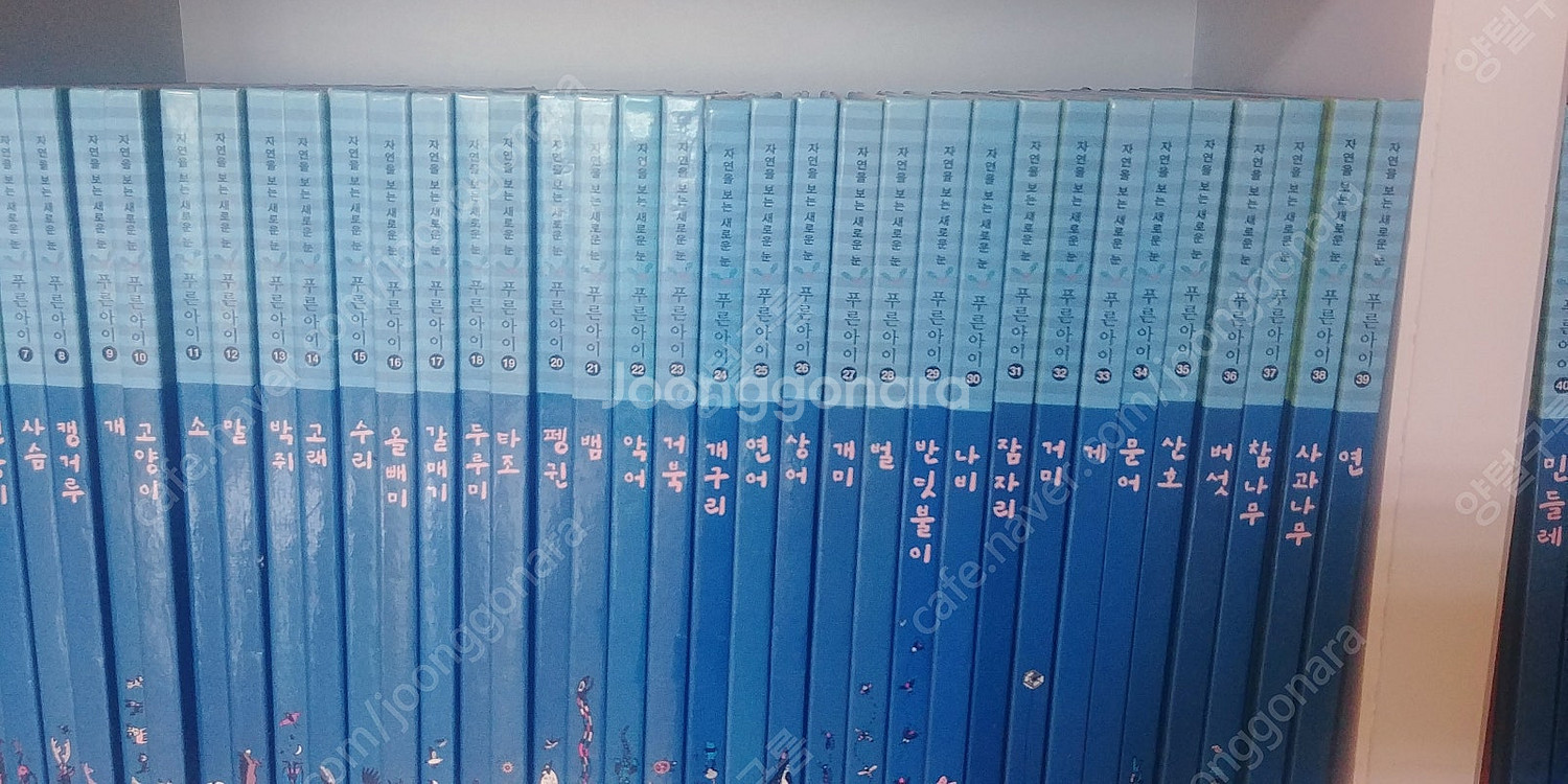 새책 중고전집 초등학생 학습 자연을 보는새로운눈 푸른아...--4